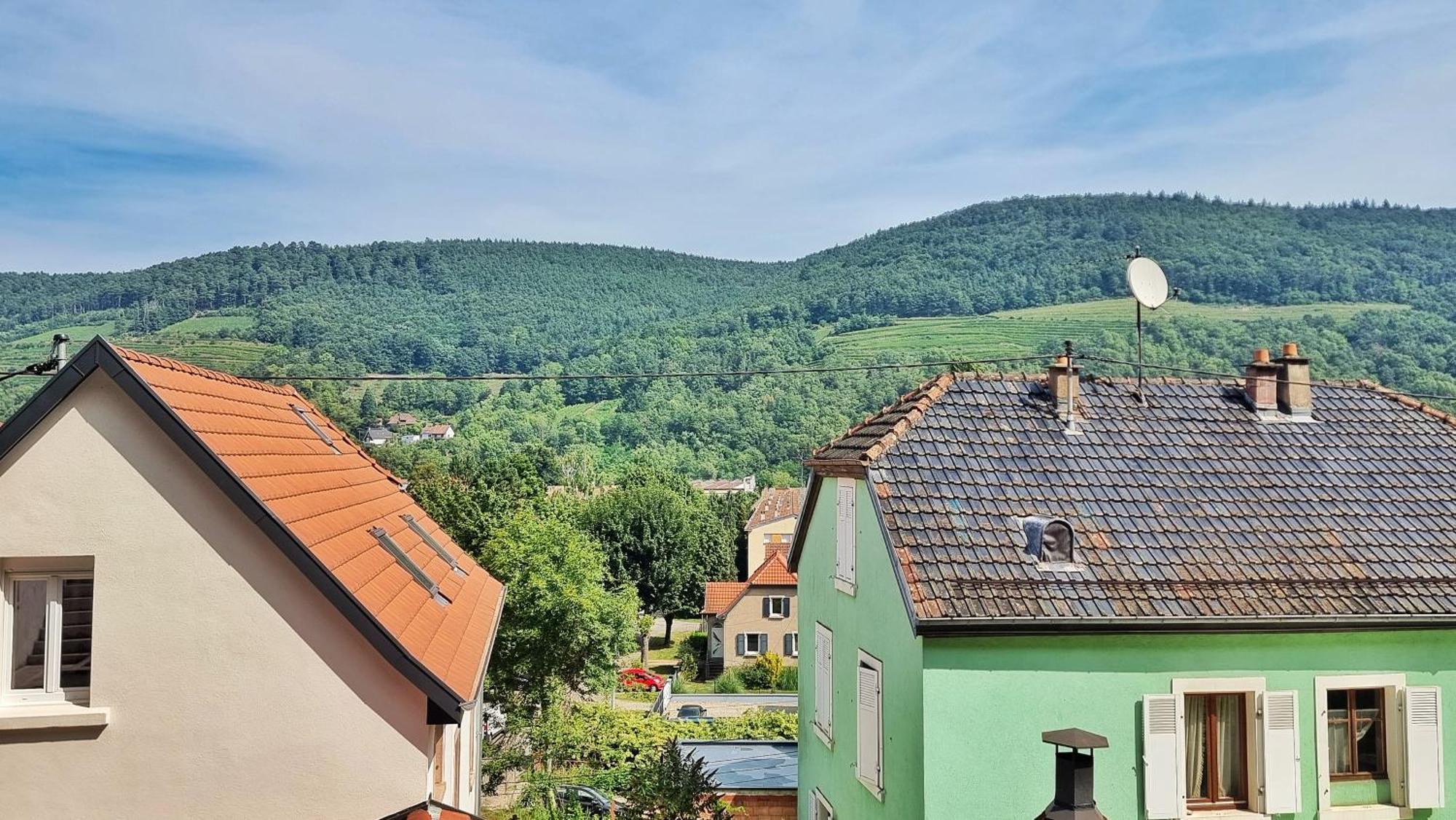 La Buhl Verte - Chic Et Moderne - Calme - Fibre - Relax Bnb Bagian luar foto
