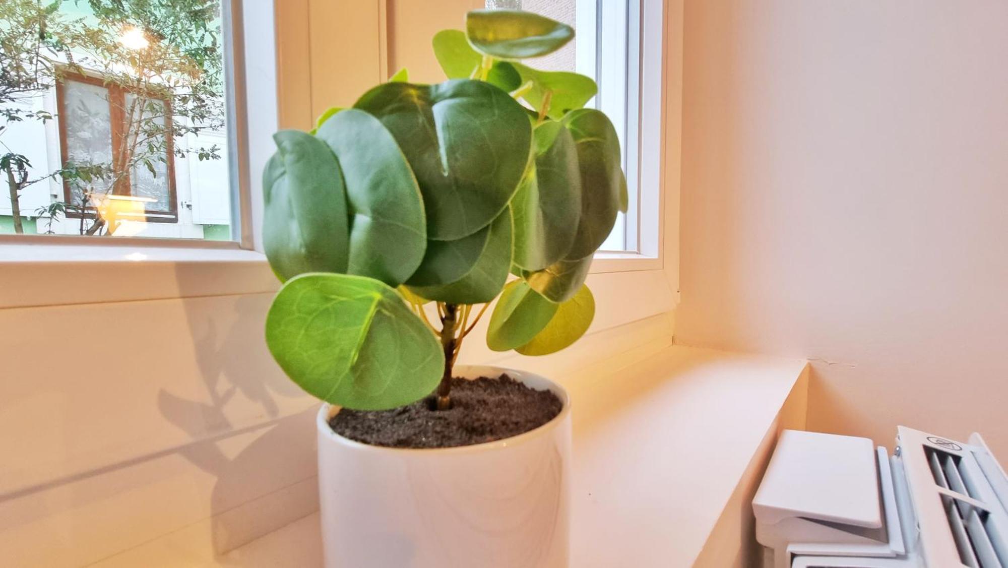 La Buhl Verte - Chic Et Moderne - Calme - Fibre - Relax Bnb Bagian luar foto